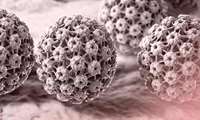 زگیل تناسلی و ویروس HPV؛ آنچه باید درباره پیشگیری، علائم و واکسن بدانید